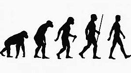 Timeline: la evolucion humana