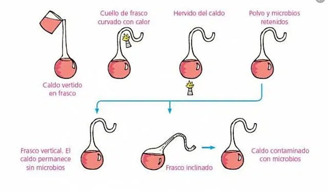 Experimento de Luois Pasteur