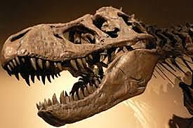 Protección del Patrimonio Arqueológico y Paleontológico