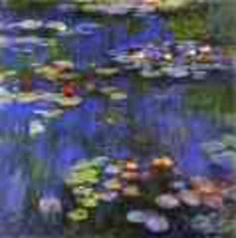 Water Lillies (Les Nympheas)