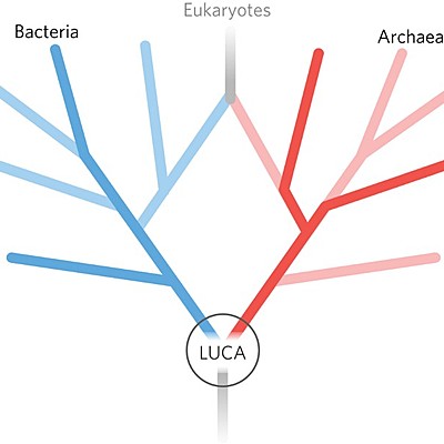 Timeline: El origen de la primera célula