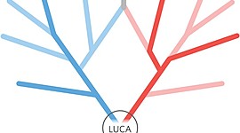 Timeline: El origen de la primera célula