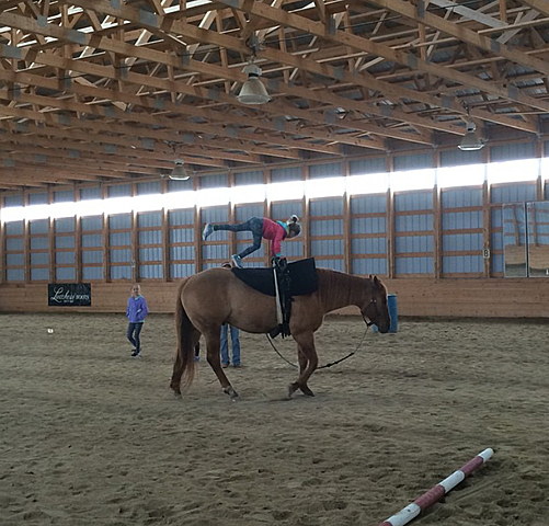 Took vaulting lessons