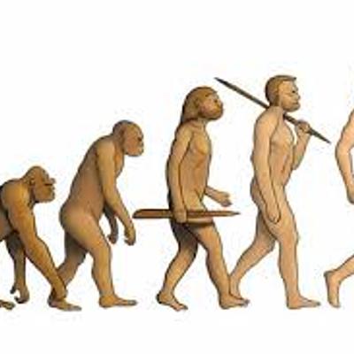 Timeline: La evolución humana