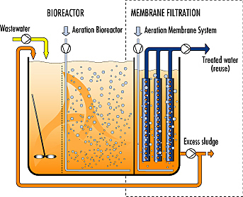 Biorreactores con membrana