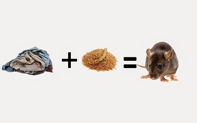 Teoría de la generación espontánea