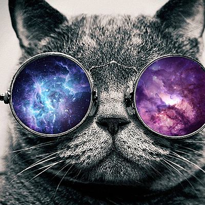 Timeline: Desarrollo Sustentable