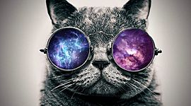 Timeline: Desarrollo Sustentable