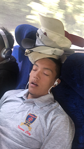 Discovery of Da Vinci's Codices