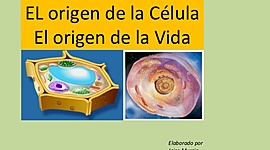 Timeline: Línea del tiempo (Teorías origen de la vida)
