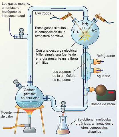 Teoría del experimento de Miller (Stanley Miller)