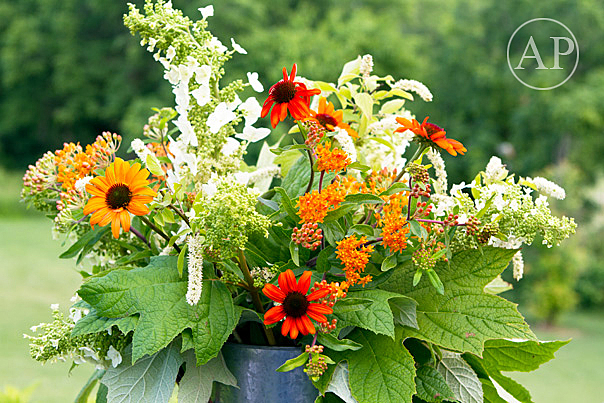 Early American (bouquet)