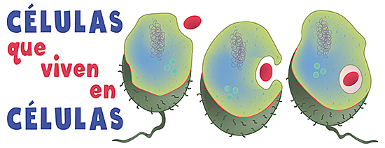 Teoría endosimbiótica