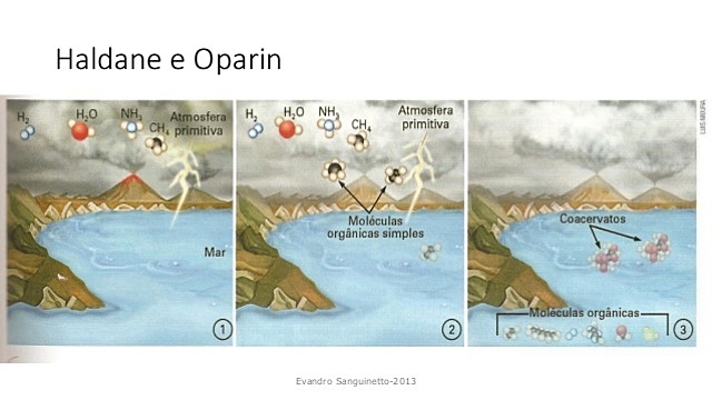 Teoría de Oparin-Haldane (Experimento Miller)