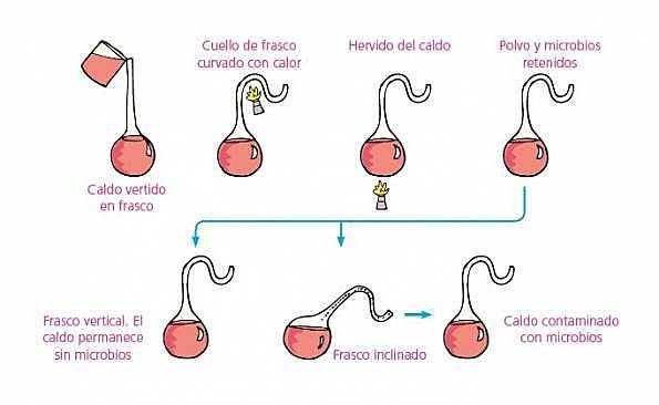 Experimento de Pasteur