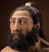 Homo neanderthalensis