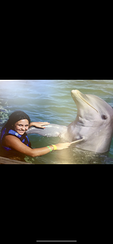 Experience with my favorite animal