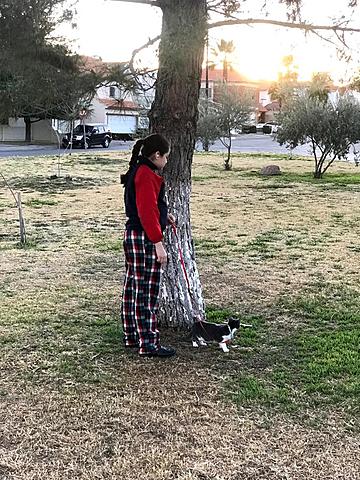 Adoptamos una princesa (gata)