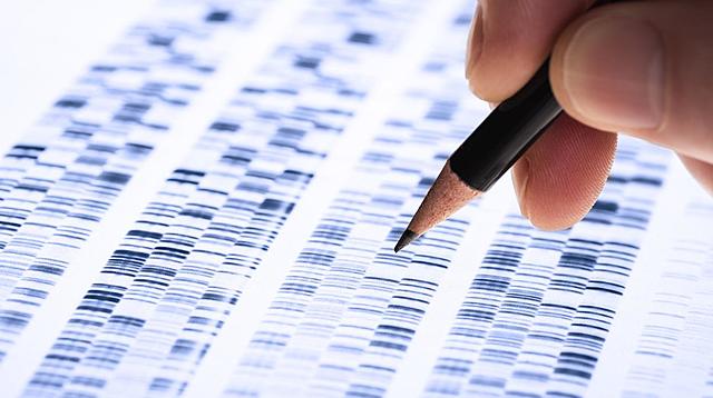 Los investigadores genéticos terminan de mapear genes humanos