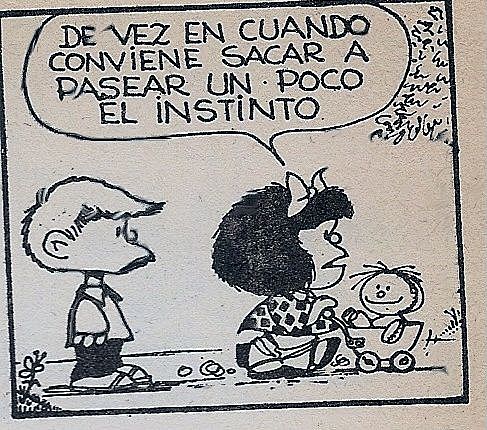 Aparece el amor maternal