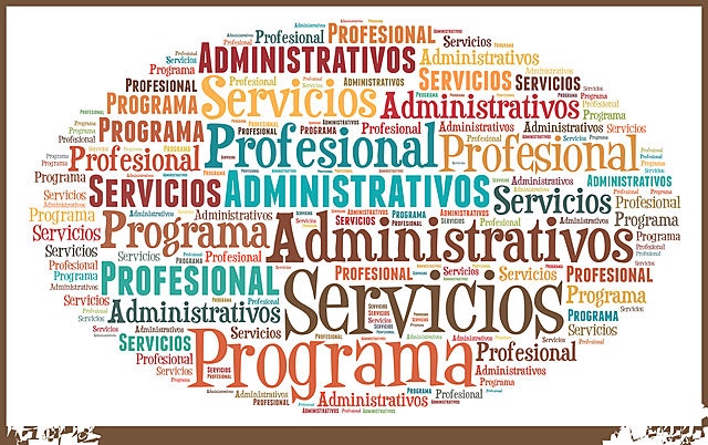 La incidencia de la ONU en el servicio público