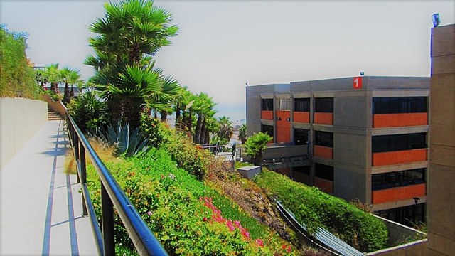 Creación de Maestría en Estudios Culturales