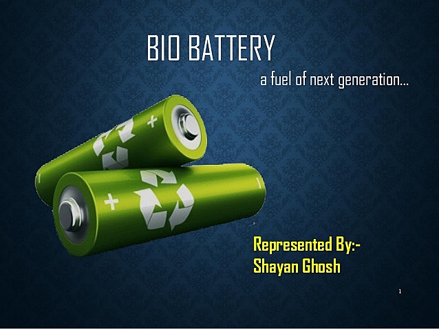 Bio-battery
