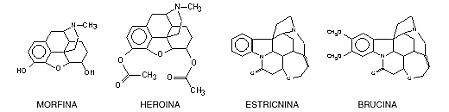 MORFINA Y ESTRIcnina