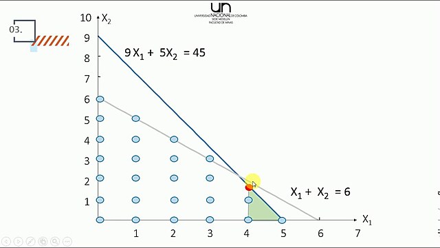 Programación entera