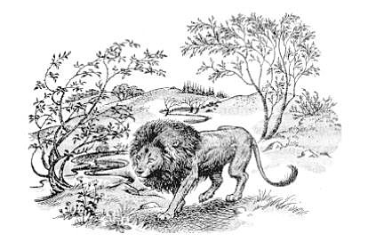 La creación de Narnia