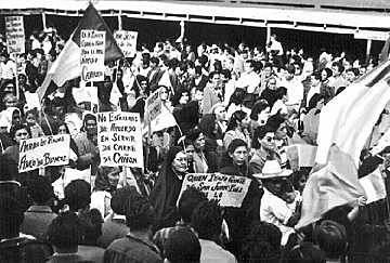 Desocupación de los estudiantes