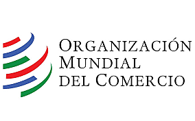 La creacion de la OMC