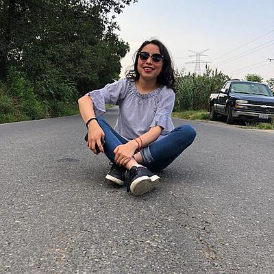 Timeline: &quot;Mi Vida en 17 años&quot;.