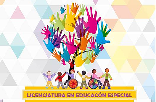 Programas en Escuelas Normales