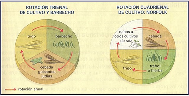 Factores de la Revolución Industrial (Agricultura)