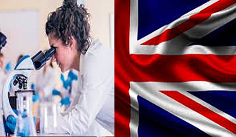 Condiciones de Trabajo y Salud en la Industria