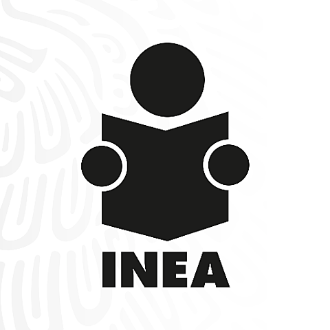 Se creó el INEA