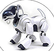 Aibo