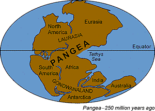 Pangaea Forms