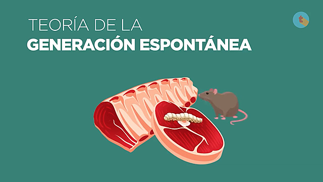 TEORÍA DE LA GENERACIÓN ESPONTÁNEA