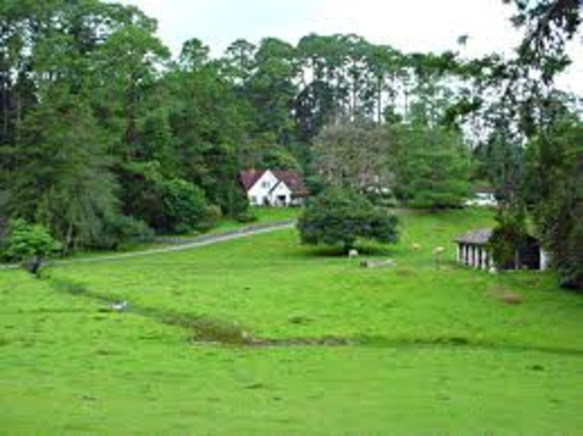 salida de campo