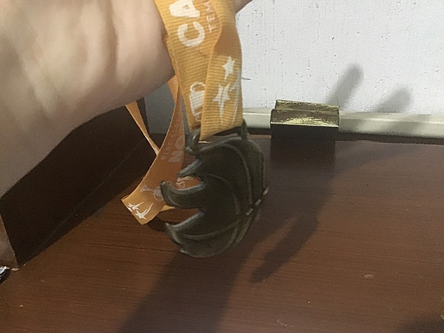 Mi primer torneo deportivo ganado