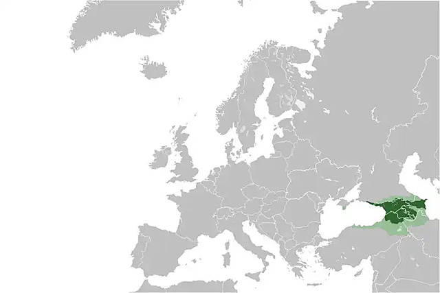 Conquest of Cuman and Kingdom of Georgia