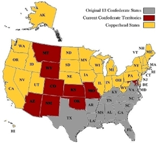 South Carolina Becomes the First State to Secede from the Union