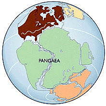 Pangea