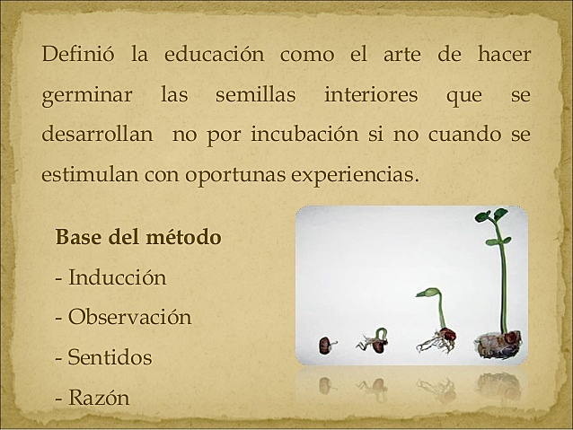 APORTES A LA EDUCACIÓN WOLFANA RIATKE