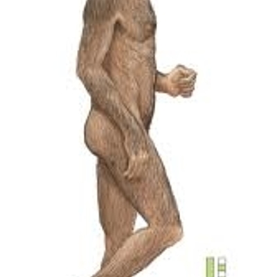 Timeline: Mi linia del tiempo