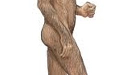 Timeline: Mi linia del tiempo