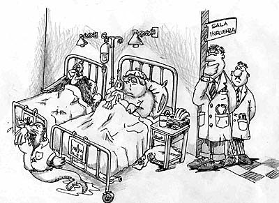 LA EPIDEMIA DE LA INFLUENZA