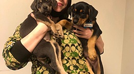 Timeline: History of Drawing by Rianne Riddell